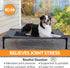 K&H Pet Products Elevated Dog Cot for Large Dogs, Outdoor Cooling Bed, Washable Portable Dog Cot, Heavy Duty Metal