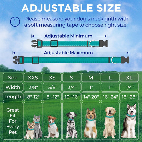 TECEUM Reflective Pet Collar – Basic Nylon Dog Collar – Quick Release Buckle – Aquamarine – M – Fits Small, Medium and