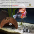 SunGrow Betta Balls, Water Conditioner with Beneficial Elements for Tropical Fish, 10 Pcs per Pack