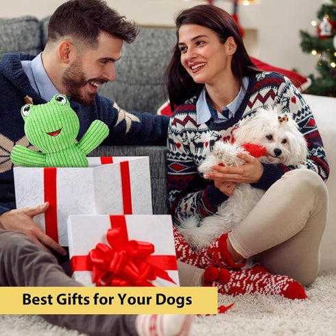 Dog Squeak Toys, Durable Plush Toy with Crinkle Paper, Interactive Chew Toys for Small, Medium, and Large Dogs