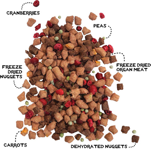 Simple Food Project Beef & Salmon Recipe, Freeze Dried Raw Food for Dogs, 24 oz