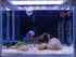 Aquarium Shipwreck Decoration + Little Diver Floating Fish Tank Decoration, Fish Tank Hideout, Fish Tank Ornaments (Shipwreck) by AWXZOM