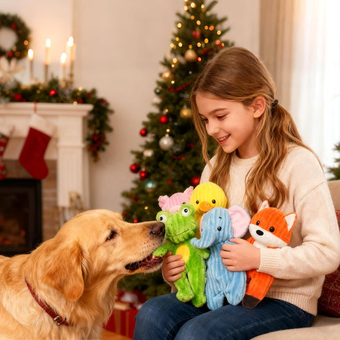 5 Pack Prime Pets Plush Squeaky Dog Toys, No Stuffing Bodies, Crinkle Pet Toys for Small Medium Large Dogs, Puppy Chew