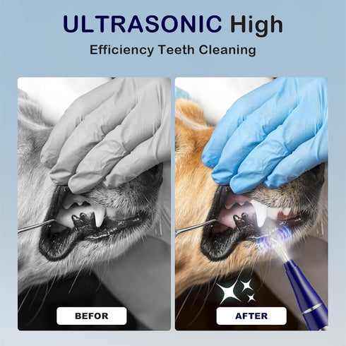 Psytpusa Plaque Remover for Teeth, Pet Ultrasonic Cleaner, Dog Plaque and Tartar Remover with LED Light, Dog Teeth