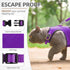PUPTECK Soft Mesh Cat Vest Harness and Leash Set, Escape Proof Puppy Padded Pet Harnesses for Small Dogs, Purple Small