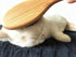 Patina Dog Cat Brush for Shedding, Natural Bamboo Boar Bristles, Pet Grooming Supplies for Dogs Cats