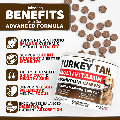 170 Count Immune Turkey Tail Mushroom for Dogs - - Mushroom Chews for Dogs Lipoma Lumps and Bumps - Health, Digestive