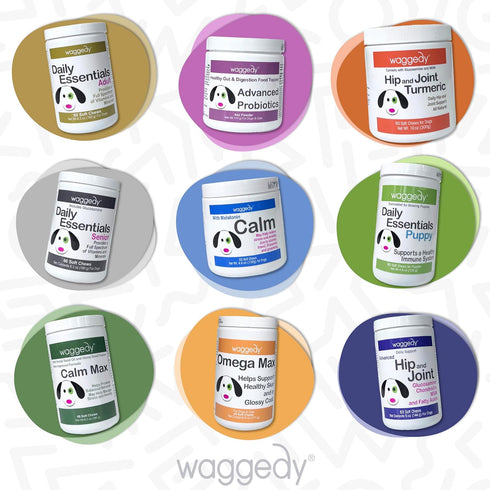 waggedy Daily Essentials Puppy — Full-Spectrum Functional Treats, Dog Supplements & Vitamins for Small or Large Breed