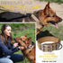 ADITYNA Heavy Duty Dog Collar with Handle, Thick Reflective Tactical Collar for Large Dogs, Soft Neoprene Padded