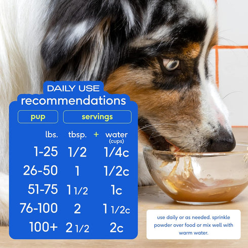 Native Pet Bone Broth for Dogs & Cats, Dog Bone Broth Powder, Food Topper for Picky Eaters, 4.75 oz
