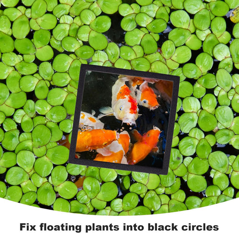 PAGOW 10pcs Fish Feeding Rings Set - Floating Aquarium Plant Corral, Round & Square Fish Feeder Rings