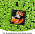 PAGOW 10pcs Fish Feeding Rings Set - Floating Aquarium Plant Corral, Round & Square Fish Feeder Rings