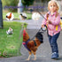 Chicken Harness Hen Size with 5.5-Foot Matching Belt, Comfortable Medium Size for Chicken Duck or Goose