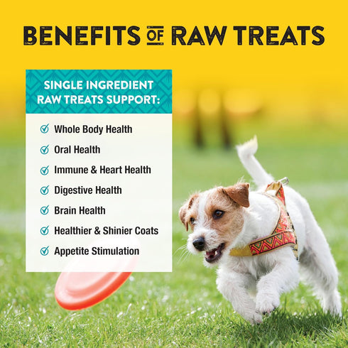 Northwest Naturals Raw Rewards Freeze-Dried Chicken Breast Treats for Dogs and Cats, 3 Oz, Healthy Pet Food