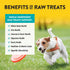 Northwest Naturals Raw Rewards Freeze-Dried Chicken Breast Treats for Dogs and Cats, 3 Oz, Healthy Pet Food