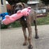 SmartPetLove Snuggle Puppy Tender Tuffs, Water Bottle Cruncher with Puncture Resistant Squeaker, Pig Bottle Cover Toy