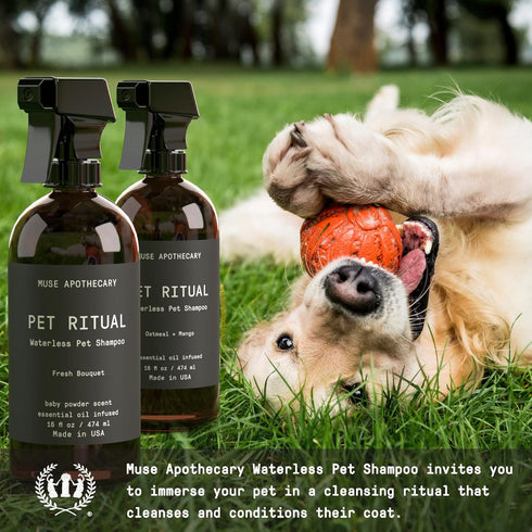 Muse Apothecary Pet Ritual Aromatic Waterless Shampoo for Pets - No Rinse Dog Shampoo - Waterless Shampoo for Cats - Waterless Dog Shampoo for Large Dogs - Essential Oils Infused, 16oz Fresh Bouquet