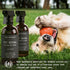 Muse Apothecary Pet Ritual Aromatic Waterless Shampoo for Pets - No Rinse Dog Shampoo - Waterless Shampoo for Cats - Waterless Dog Shampoo for Large Dogs - Essential Oils Infused, 16oz Fresh Bouquet
