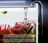 Aquatic Lily Pipe for Fish Tank Canister Filter, Unique Outflow Surface Skimmer for Rimless Aquariums