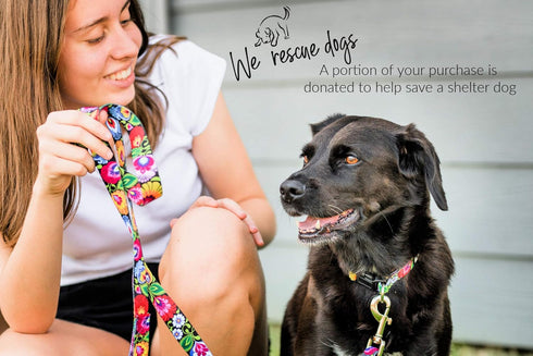 Lucky Love Dog Collars, Vivid Floral Design for Large Female Dogs, Blackbird, Large