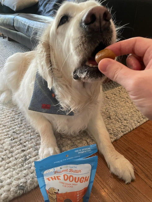 5 oz Pawnut Butter The Dough-Pumpkin Cookie Dough For Dogs Digestive, Soft Treats with Real Peanut Butter, Made