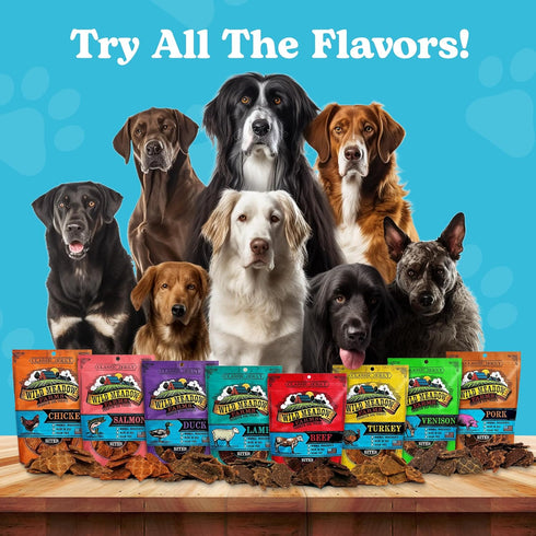 Wild Meadow Farms Classic Beef Bites - Soft Jerky Treats for Dogs - Grain-Free & All-Natural - 3.5 Ounce Pouch