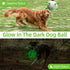 Glow in The Dark Dog Toys, Interactive Light Up Dog Balls, Outdoor Dog Soccer Ball with Straps, Dog Tug Toys for Small & Medium Dogs, Puppy Birthday Gifts(6 Inch)