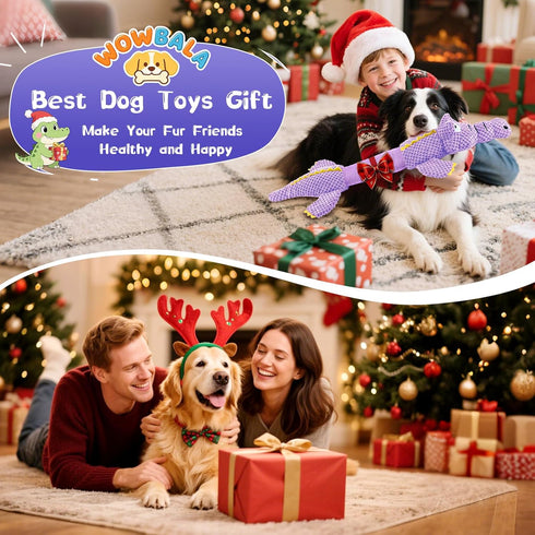 WOWBALA Interactive Tug of War Dog Toys for Small to Large Breeds-Squeaky Plush Puppy Toys with Crinkle Paper, Stuffed
