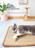 MEMQUQ Interactive Cat Scratching Toy - Natural Sisal Activity Mat for Kittens, Engaging Claw Exercise Play Pad