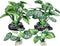 4PCS Small Size Soft Faux Silk Aquarium Plants for Betta Fish Tank Decorations, Hiding Fish Reptiles