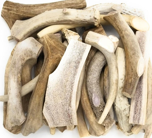 One Pound Pack of Sun-Aged Deer and Elk Antler Dog Bone Chews - Natural Healthy Long-Lasting Treat