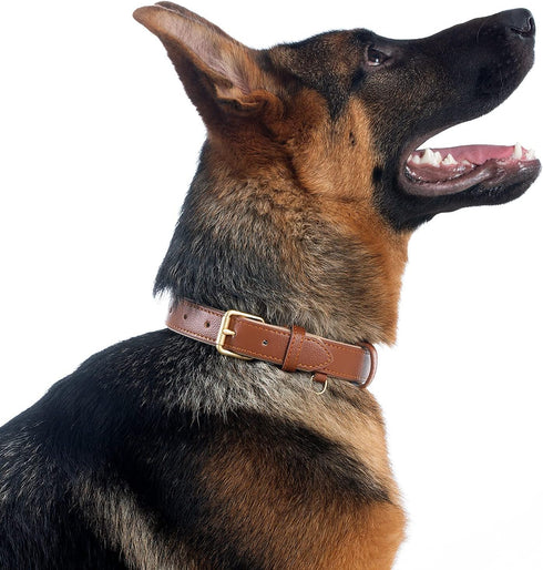 Leather Dog Collar for Small Medium Large Dogs, Soft Waterproof Padded Puppy Collars