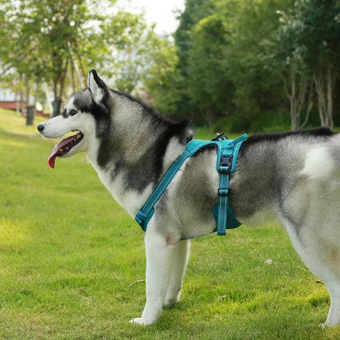 Voyager No Pull Dog Harness for Extra Small Dogs, Adjustable Soft Pet Harness with Dual Leash Attachments, Turquoise