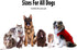 Healing Skin Treatment Onesie for Dogs - Medium, Solid Red, Veterinary Dermatology