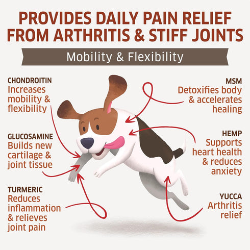 3 120 Hemp Hip and Joint Supplement for Dogs - Glucosamine for Dogs - Glucosamine Chondroitin for Dogs with MSM, Hemp