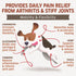 3 120 Hemp Hip and Joint Supplement for Dogs - Glucosamine for Dogs - Glucosamine Chondroitin for Dogs with MSM, Hemp