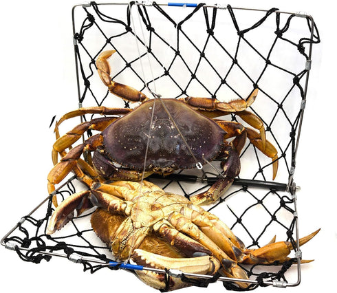 AirFly Foldable Crabjaw Trap with Bait Clip - Redesigned Rectangle Castable Crab Hawk Pot/Ring for Dungeness and Blue
