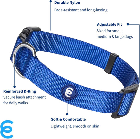 Blueberry Pet Essentials Small Dog Collar in Royal Blue | Adjustable & Eco-Friendly Durable Nylon Strap