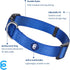 Blueberry Pet Essentials Small Dog Collar in Royal Blue | Adjustable & Eco-Friendly Durable Nylon Strap