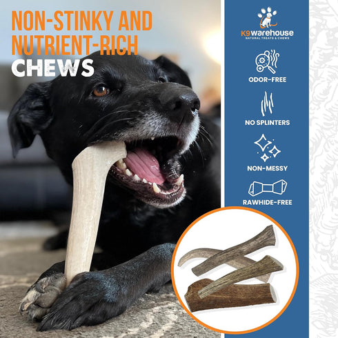 Elk Antlers for Dogs - USA Sourced Antler Chews for Aggressive Chewers, Promotes Oral Health for All Sizes