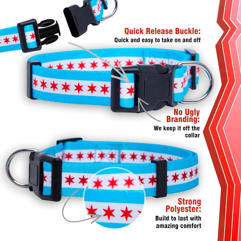 Native Pup Chicago Flag Dog Collar, Large