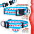 Native Pup Chicago Flag Dog Collar, Large