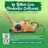Vital Planet Flora Dog Probiotics, 30 Natural Bacon Flavored Chews with 20 Billion Cultures, Immune Support