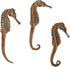 biOrb Seahorse Set of 3, Durable Beige Seahorse Replicas, Aquarium Decorations