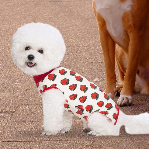 2 Packs Dog Recovery Onesie Suit for Dogs Cats After Surgery - XXL Pink, Cone E-Collar Alternative, Abdominal Wounds