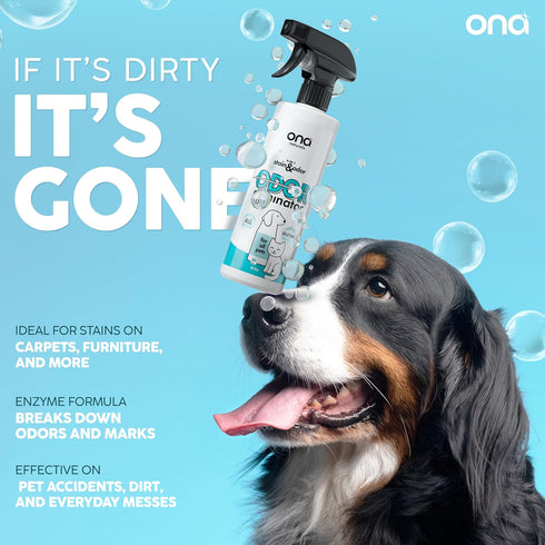 (16oz) ONA Pet Stain & Odor Eliminator Enzyme Cleaner Spray - Dog & Cat Urine Remover & Deodorizer for Home, Carpet