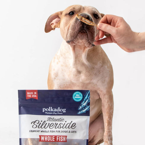 Polkadog Atlantic Silverside Whole Fish Dog Treats 2.5 oz: All-Natural Crunchy Pet Snacks for Dogs and Cats