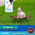 COOLAROO On the Go Cooling Elevated Dog Bed, Portable for Travel & Camping, Collapsible for Storage, Standard, Brick