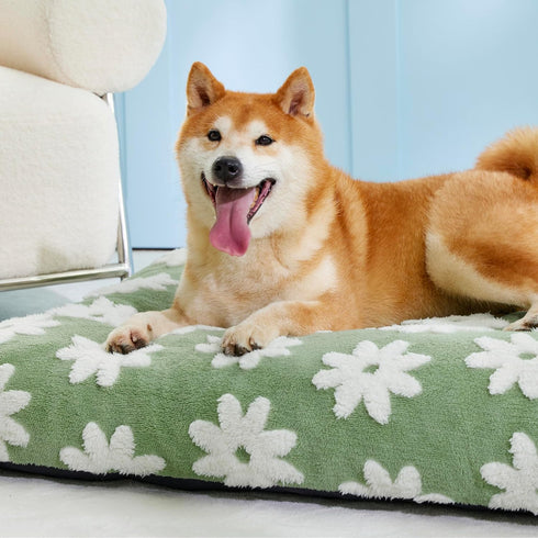 Lesure Dog Beds, Large Sized Dog-Thick Shredded Foam Pet Bed, Indoor with Removable Cover, Cute Modern Fuzzy Plush,