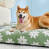 Lesure Dog Beds, Large Sized Dog-Thick Shredded Foam Pet Bed, Indoor with Removable Cover, Cute Modern Fuzzy Plush,